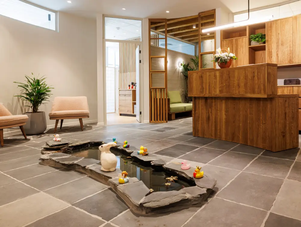 תמונה של הקליניקה